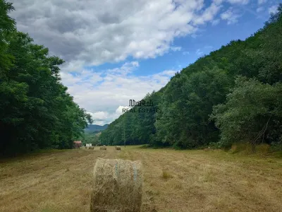 Un colt de natura intre padure si parau - foto 8