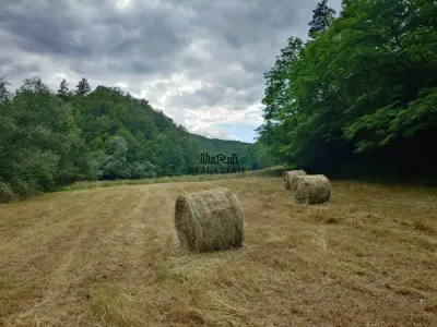 Un colt de natura intre padure si parau - foto 9