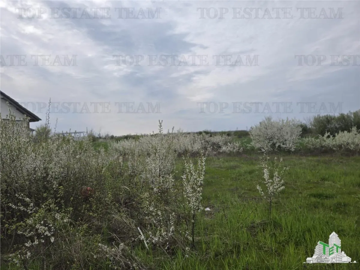 TEREN INTRAVILAN 420 mp la 30 minute  de Bucuresti - foto 4