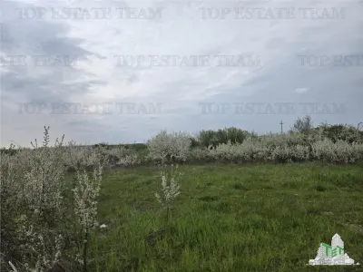 TEREN INTRAVILAN 420 mp la 30 minute  de Bucuresti - foto 7