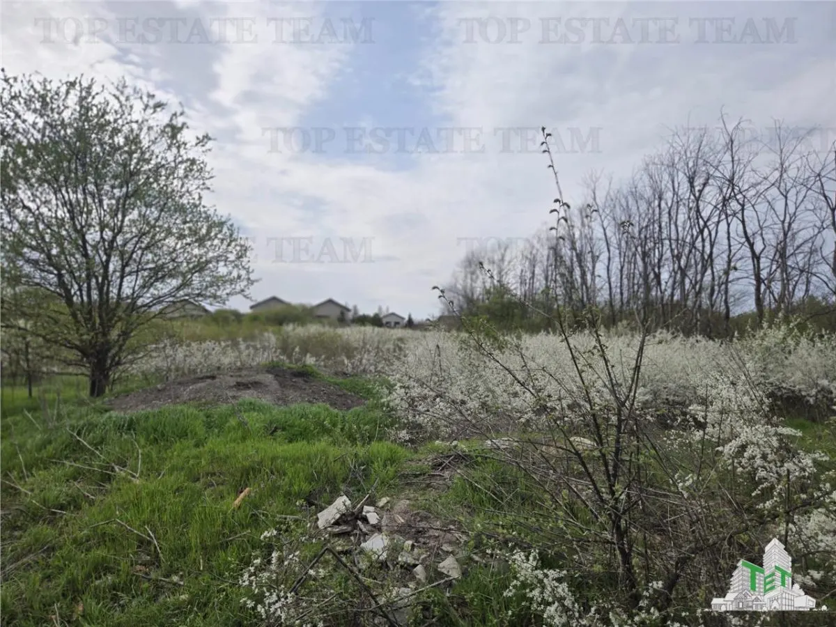 TEREN INTRAVILAN la 40 minute de Bucuresti - foto 1