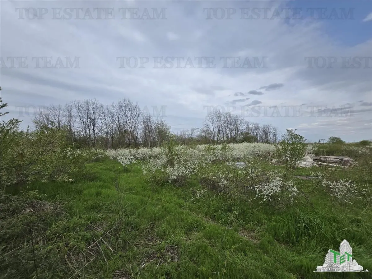 TEREN INTRAVILAN la 40 minute de Bucuresti - foto 6