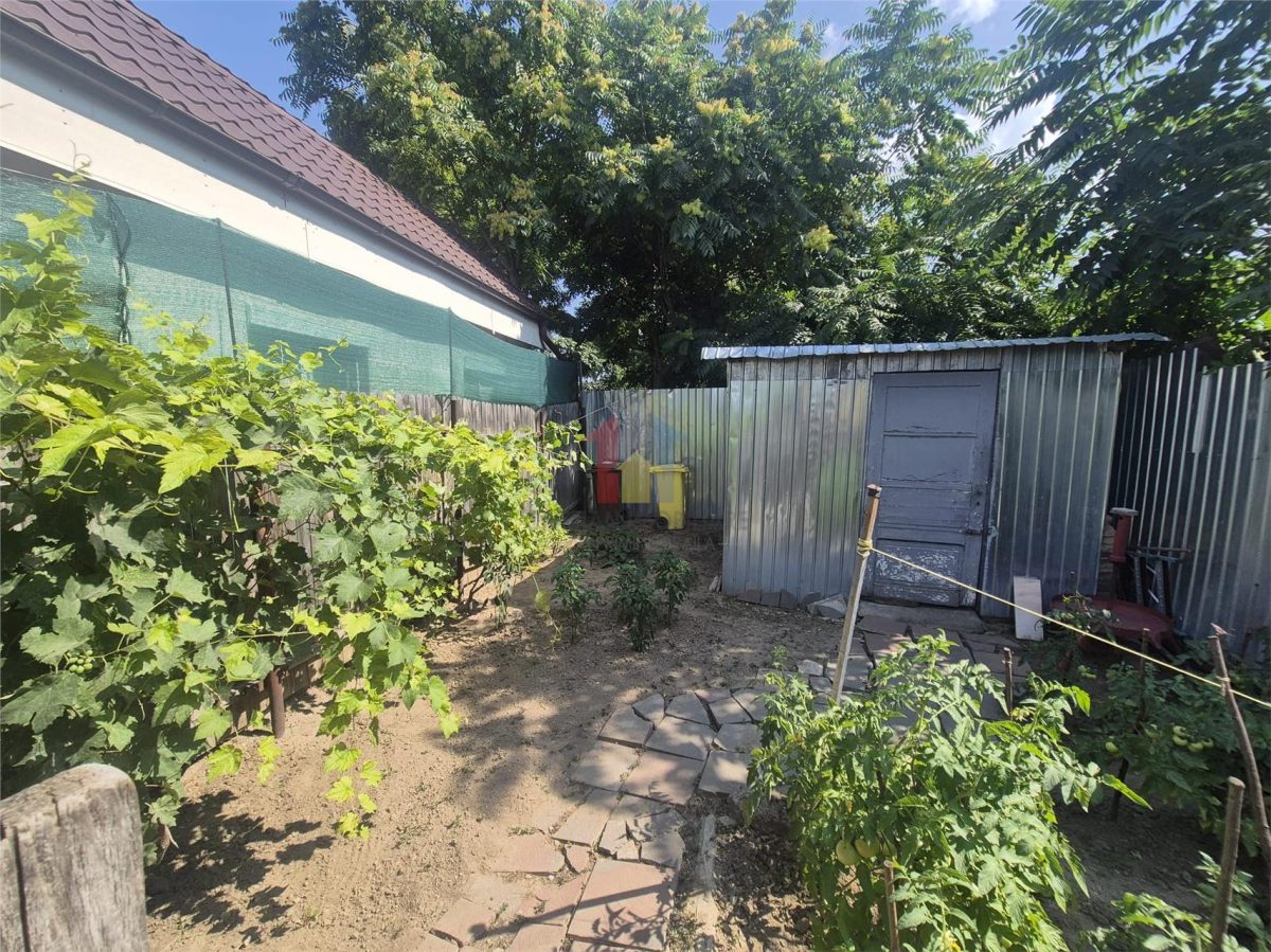 VEZI VIDEO! Casa caramida si boltari 3 camere zona Dorobantilor-Plantelor - foto 16