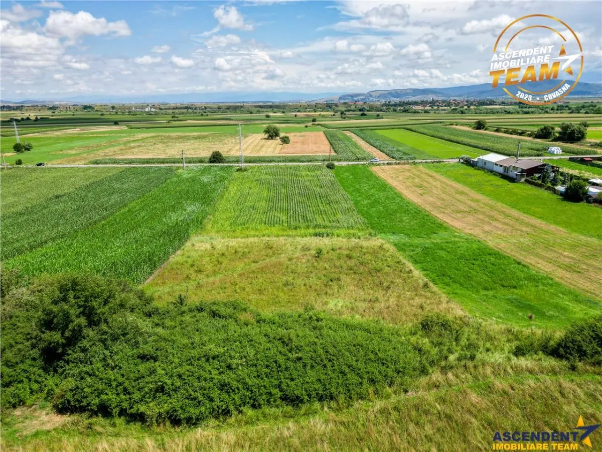 Oportunitate de investitie, PUZ aprobat: zona servicii - foto 11