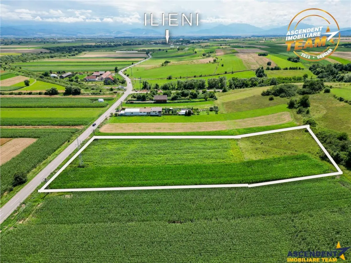Oportunitate de investitie, PUZ aprobat: zona servicii - foto 3