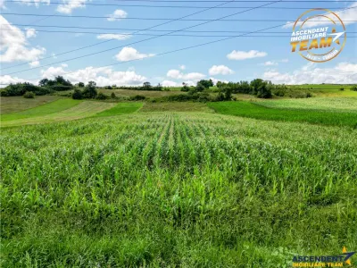 Oportunitate de investitie, PUZ aprobat: zona servicii - foto 10