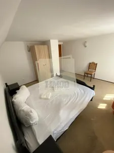 Vila moderna complet utilata 6 camere 5 bai si 377 mp teren in Paltinis - foto 11