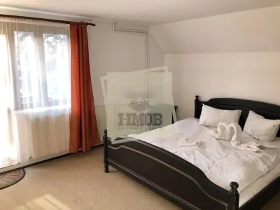 Vila moderna complet utilata 6 camere 5 bai si 377 mp teren in Paltinis - foto 3