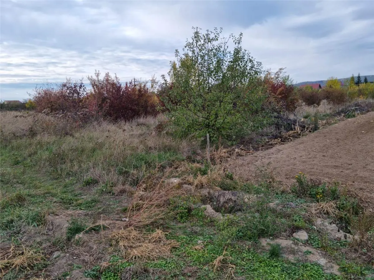 RECO teren intravilan 705 mp Osorhei - foto 2