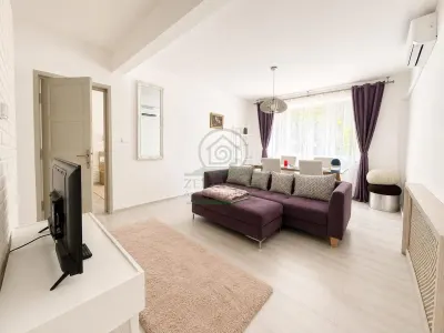 Apartament 2 camere Centru Bd Independentei , mobilat /utilat, langa UMF - foto 3