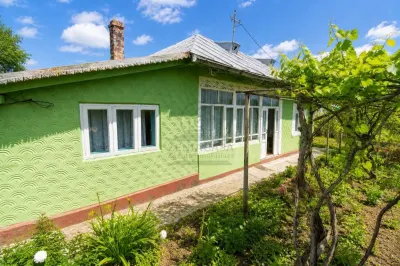 Casa batraneasca Raducaneni Iasi + 4500 mp teren, ASFALT ! - Raducaneni