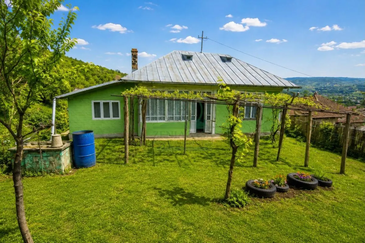 Casa batraneasca Raducaneni Iasi + 4500 mp teren, ASFALT ! - foto 2