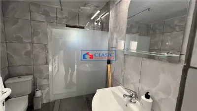 Inchiriere apartament 3 camere modern in vila in Marasti- zona Iulius Mall - foto 8