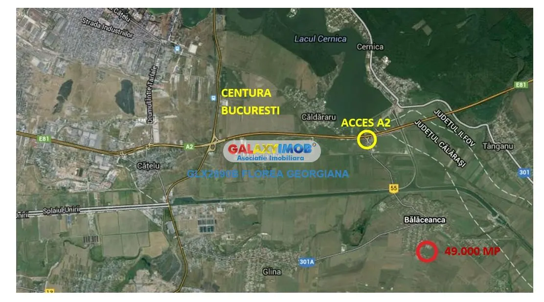 Teren 49.000 mp Balaceanca - Cernica - foto 1