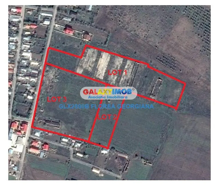 Teren 49.000 mp Balaceanca - Cernica - foto 2