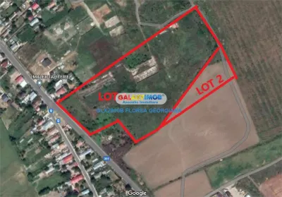 Vanzare teren 38.000 mp Tanganu Cernica ideal dezvoltare - foto 2