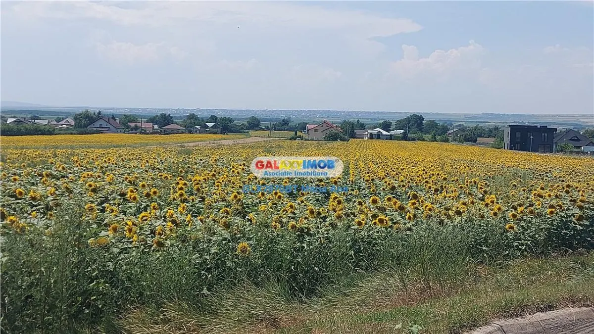OPORTUNITATE DE INVESTITIE CASA P+M, TEREN 10.000 MP. HUTANI, VLADENI - foto 15