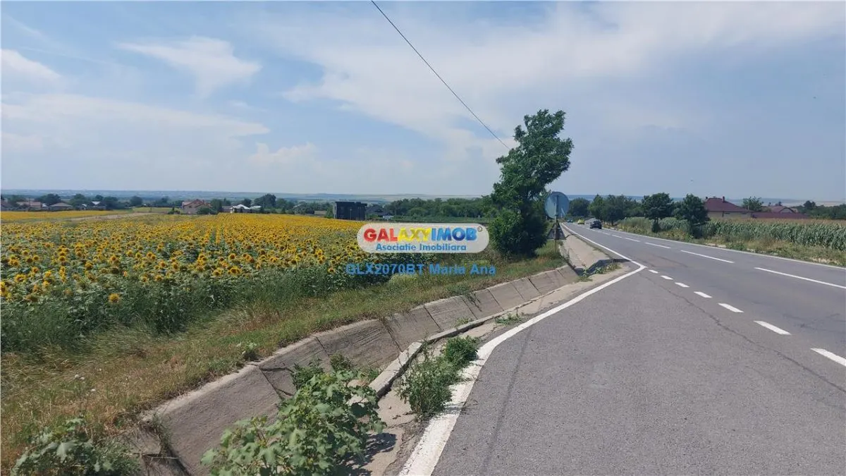 OPORTUNITATE DE INVESTITIE CASA P+M, TEREN 10.000 MP. HUTANI, VLADENI - foto 16