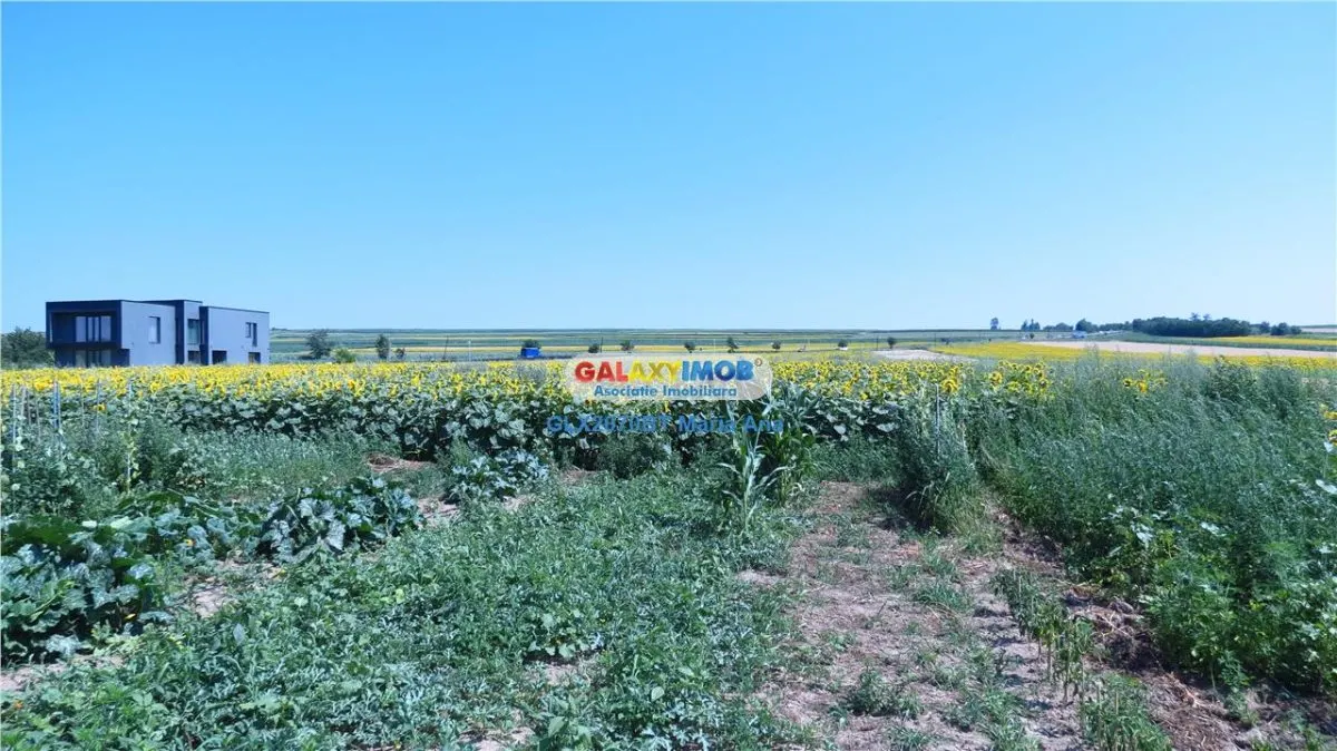 OPORTUNITATE DE INVESTITIE CASA P+M, TEREN 10.000 MP. HUTANI, VLADENI - foto 17