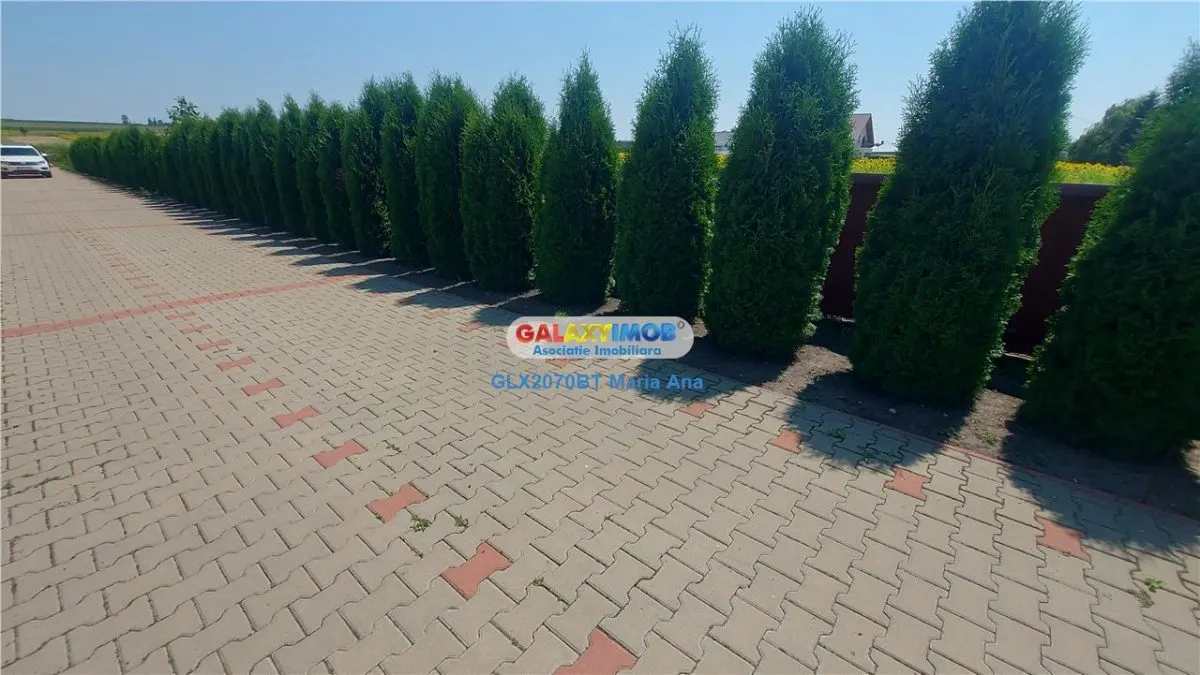 OPORTUNITATE DE INVESTITIE CASA P+M, TEREN 10.000 MP. HUTANI, VLADENI - foto 8