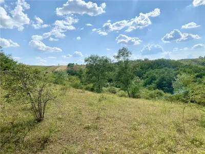 RECO Teren agricol 30.212 mp â€“ ideal pentru livada sau plantatie de zmeura - Picleu