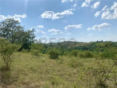 RECO Teren agricol 30.212 mp – ideal pentru livada sau plantatie de zmeura - foto 2