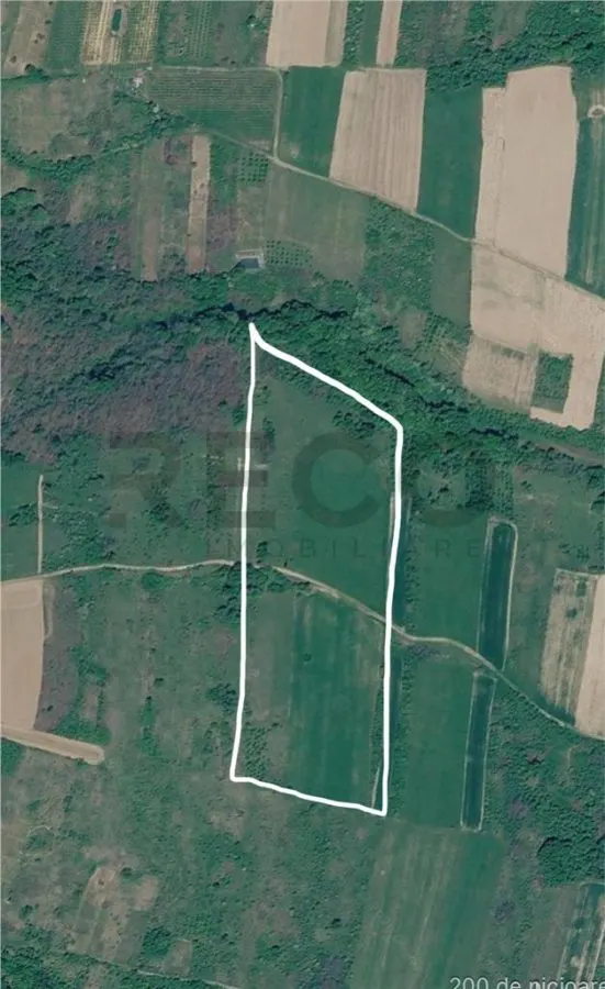 RECO Teren agricol 30.212 mp – ideal pentru livada sau plantatie de zmeura - foto 3