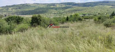 Teren Intravilan 586 mp în Rădaia ! Doar 18.500 â‚¬ ! Zonă în plina dezvoltare! - foto 3