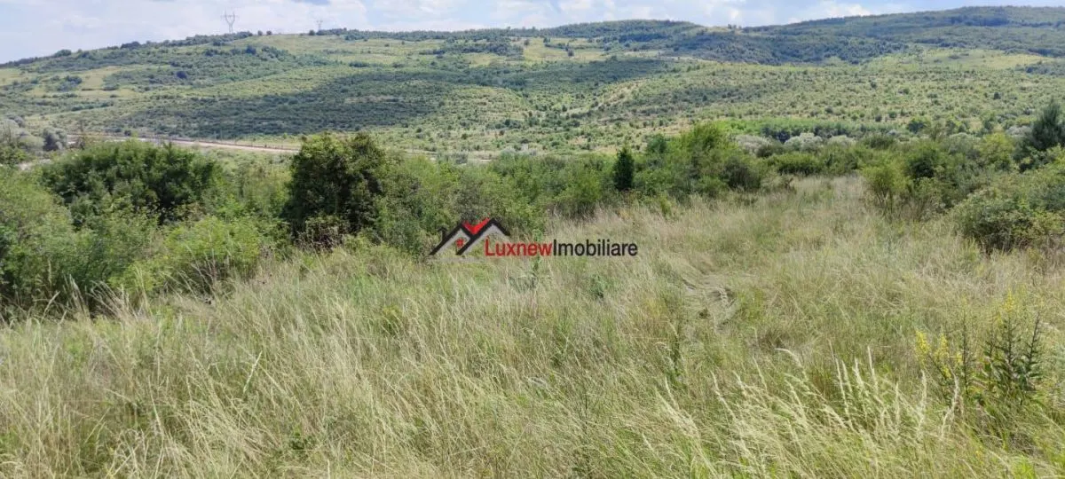 Teren Intravilan 586 mp în Rădaia ! Doar 18.500 â‚¬ ! Zonă în plina dezvoltare! - foto 3