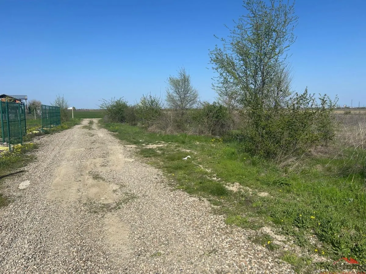 Loturi de teren de vanzare in Campineanca - foto 5
