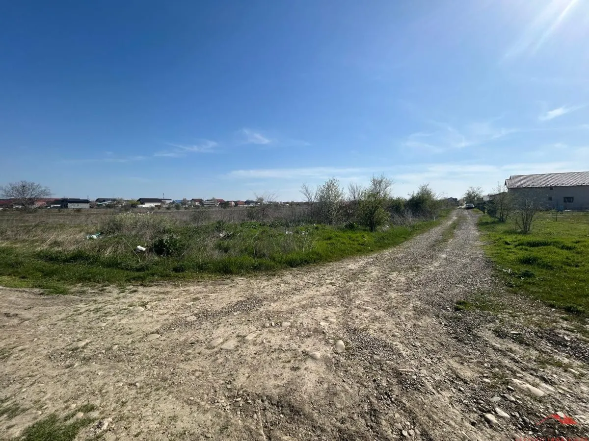 Loturi de teren de vanzare in Campineanca - foto 7