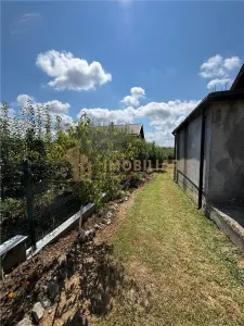 Casa la rosu  P+M-Tautii Magheraus - foto 2