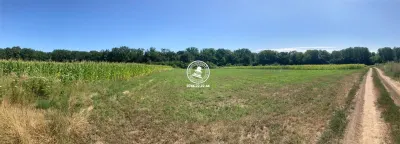 Teren de vanzare Comuna Schitu Duca, langa padure - Schitu Duca