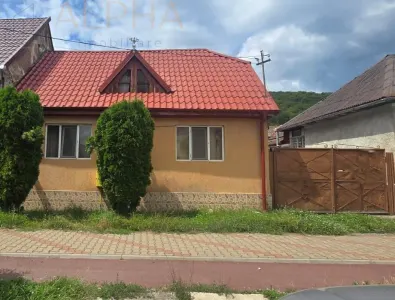CasaÂ în Viisoara, BN, stradal â€“ teren generos 1265 mp - Viisoara