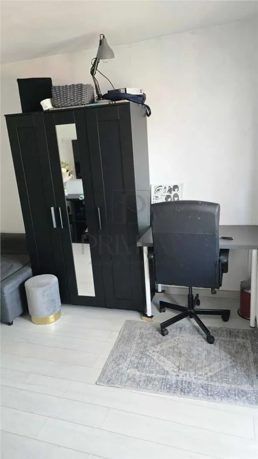 COMPLEX - AP. 1 CAMERA - mobilat, utilat, etaj intermediar - foto 2