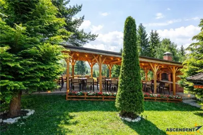 Complex turistic, priveliste deosebita, apa curativa, aer pur, afacere ascendenta, Fundata, Bran, Brasov - foto 11