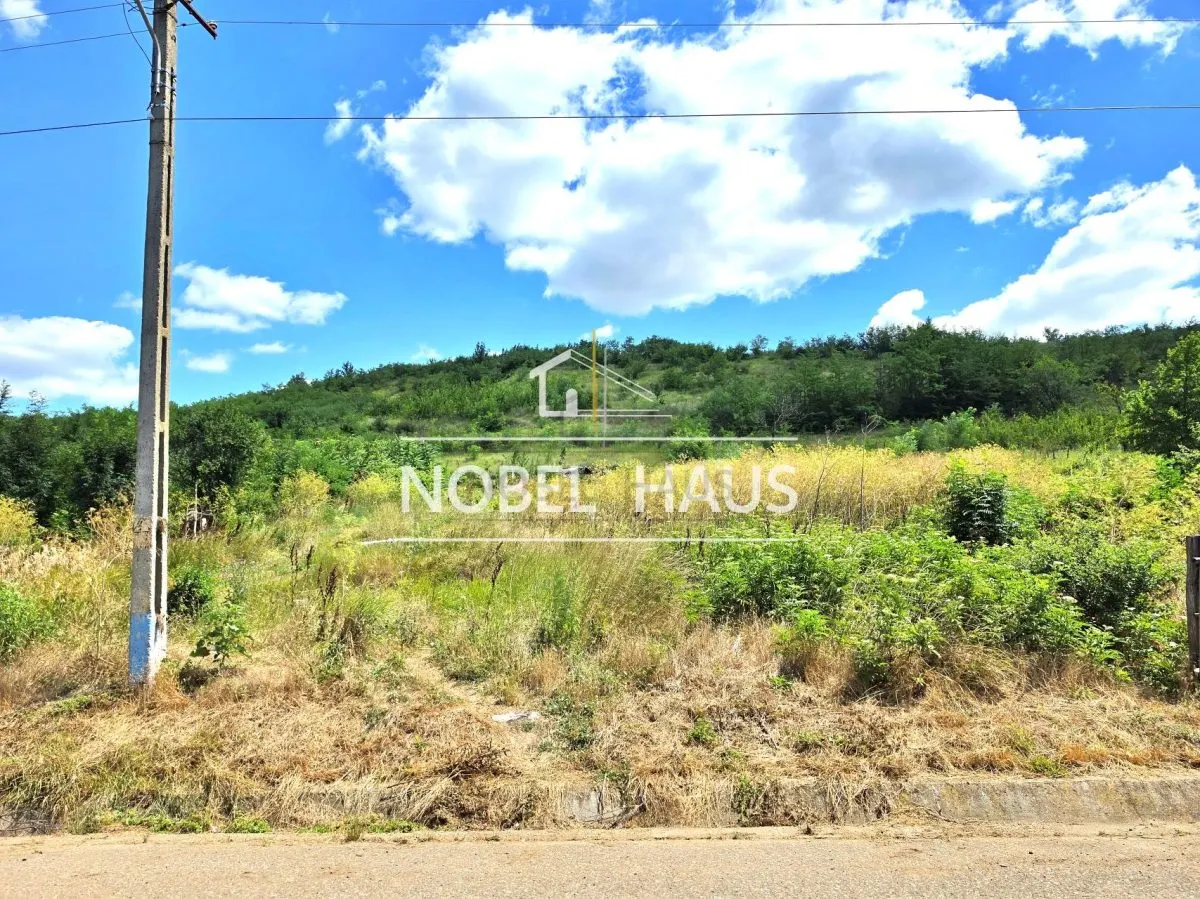 Teren intravilan. 1300 mp, loc Bogdanesti, jud Vaslui - foto 1