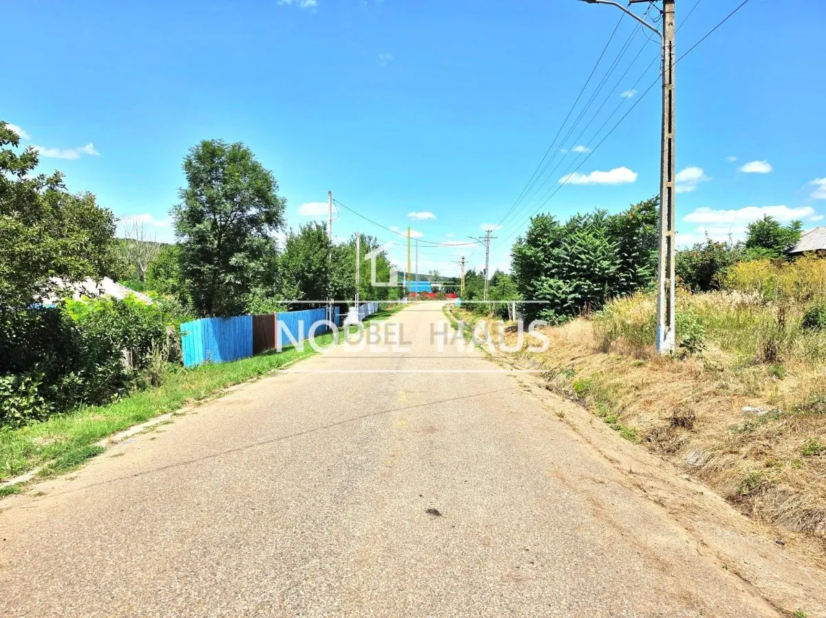 Teren intravilan. 1300 mp, loc Bogdanesti, jud Vaslui - foto 2
