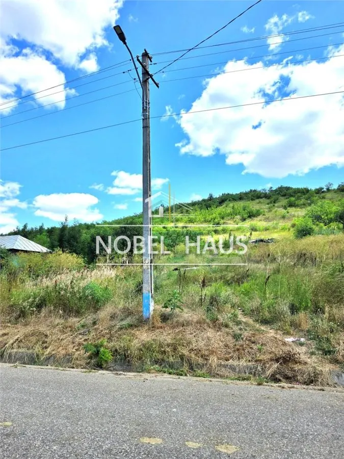 Teren intravilan. 1300 mp, loc Bogdanesti, jud Vaslui - foto 3
