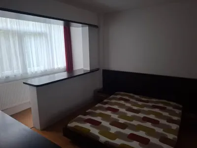 Apartament 3 Camere Podul de Piatra - 550 euro - foto 12
