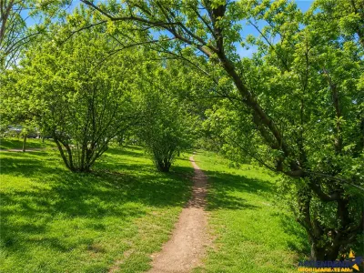 Locul unde fiecare zi se simte ca acasa: Un colt de liniste in Cartierul Florilor cu Promenada verde pe Aleea Salcamilor - foto 17