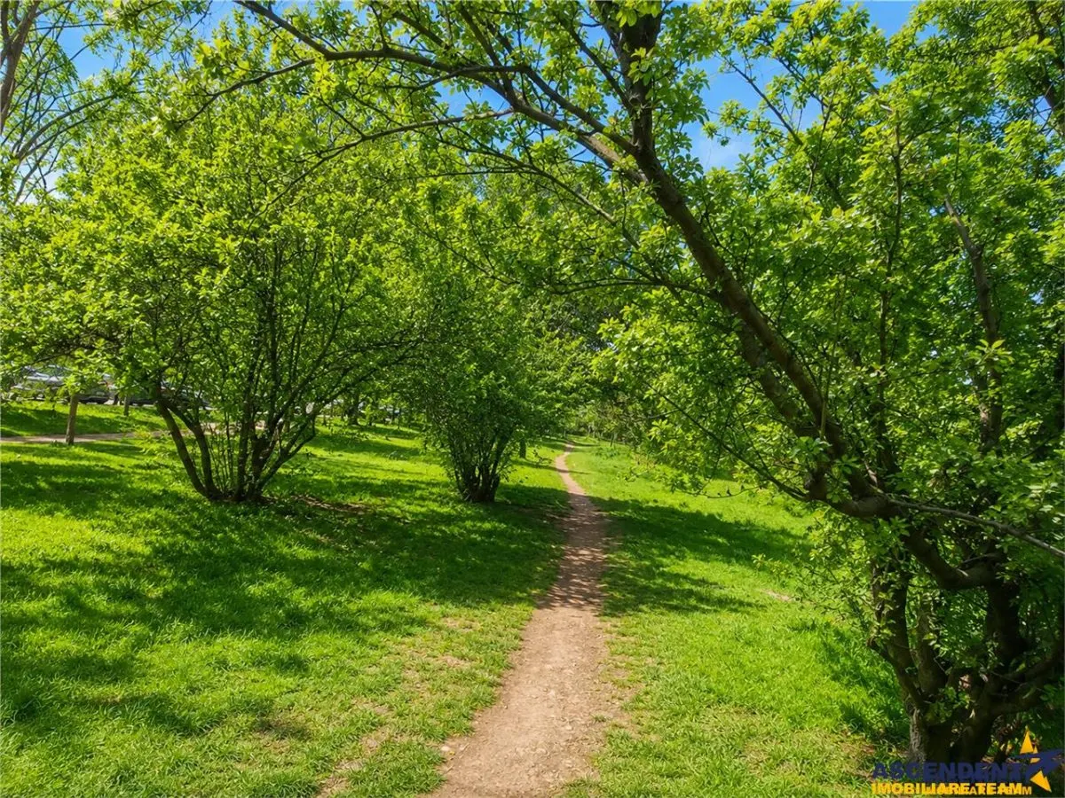 Locul unde fiecare zi se simte ca acasa: Un colt de liniste in Cartierul Florilor cu Promenada verde pe Aleea Salcamilor - foto 17