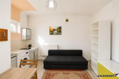 Garsoniera in vila, baie si bucatarie proprie, acces aproape independent, finisaje noi, investitie sau locuinta personala. - foto 12