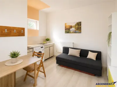 Garsoniera in vila, baie si bucatarie proprie, acces aproape independent, finisaje noi, investitie sau locuinta personala. - foto 5