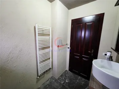 Vila, Cerneteaz, Teren Generos, Casa de Oaspeti, Beci, Garaj - foto 11