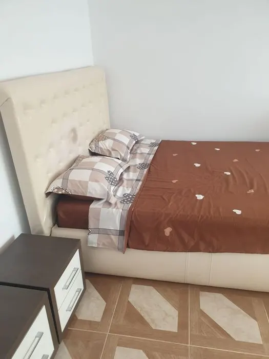 Garsoniera de inchiriat zona Canal 7, 220 euro - foto 3