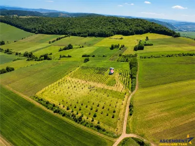 Afacere la cheie, dar si refugiu intr -o oaza de liniste in peisaj pitoresc: 25.624 mp compacte/Moisa, Mures - Moisa