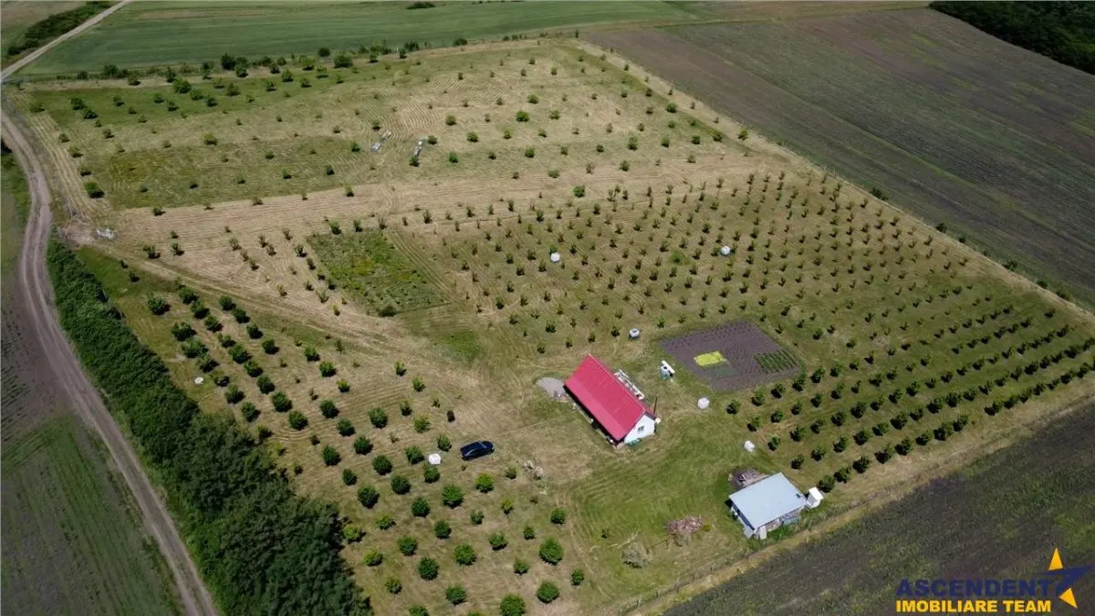 Afacere la cheie, dar si refugiu intr -o oaza de liniste in peisaj pitoresc: 25.624 mp compacte/Moisa, Mures - foto 2
