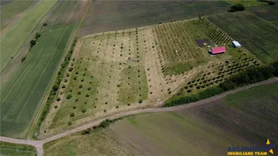 Afacere la cheie, dar si refugiu intr -o oaza de liniste in peisaj pitoresc: 25.624 mp compacte/Moisa, Mures - foto 3