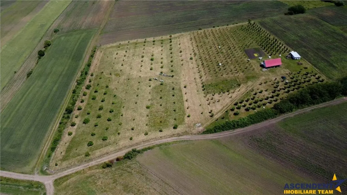 Afacere la cheie, dar si refugiu intr -o oaza de liniste in peisaj pitoresc: 25.624 mp compacte/Moisa, Mures - foto 3